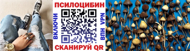 Псилоцибиновые грибы мицелий  Иланский 